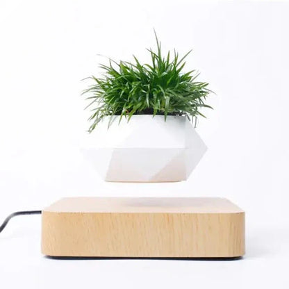 Levitating Air Bonsai Pot
